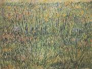 Vincent Van Gogh Pasture in Bloom (nn04) USA oil painting reproduction